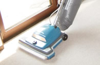 Wall-to-Wall Carpet Cleaning