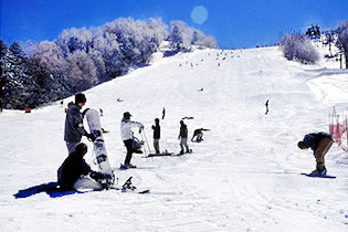 Photo from EBESA, Snow Monkeys and Tours in Yamanouchi, Nagano