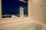 Properties with Great Views located in Central Tokyo