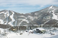 Minutes Away from Popular Ski Slopes