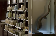 Selection of Aveda Products