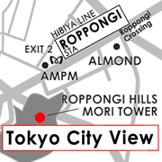 Tokyo City View, The Observation Deck in the Heart of Tokyo
