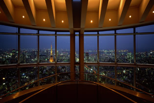 Photo from Tokyo City View, The Observation Deck in the Heart of Tokyo